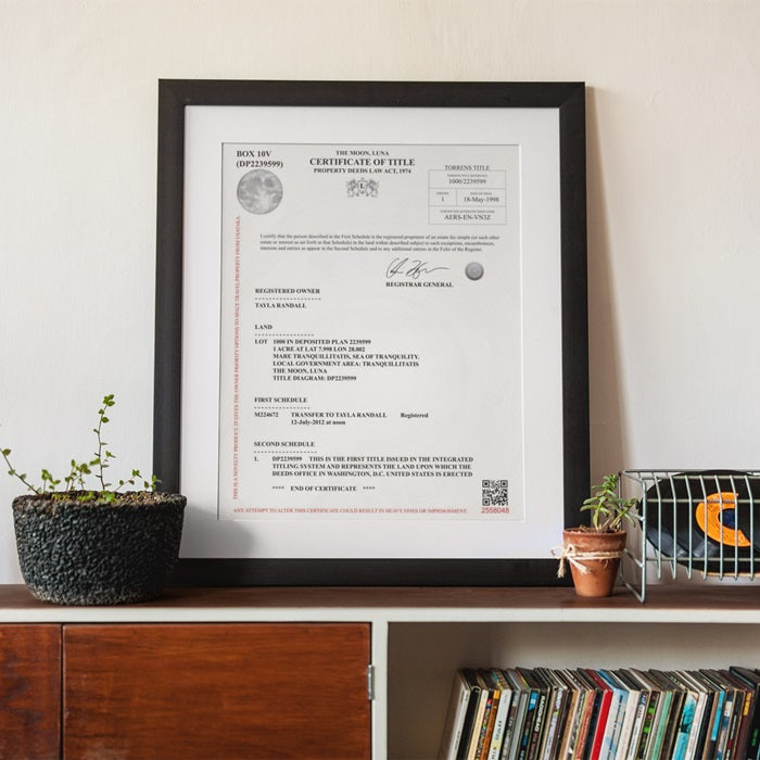 Moon Land Package 10x Acres